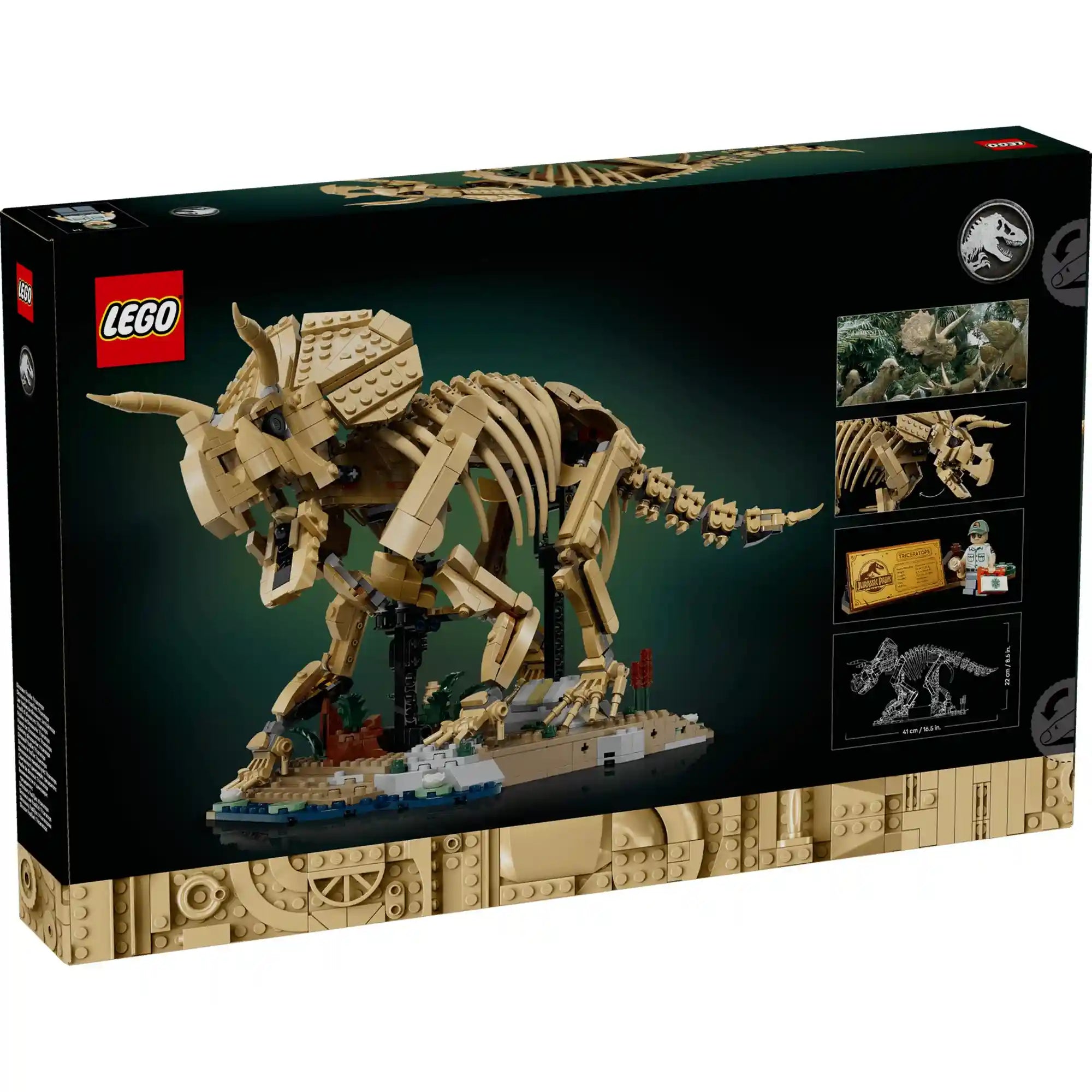 LEGO Jurassic World Dinoszaurusz maradványok: Triceratops (77985) készlet hátoldali dobozképe, amely bemutatja a modell funkcióit és részleteit.