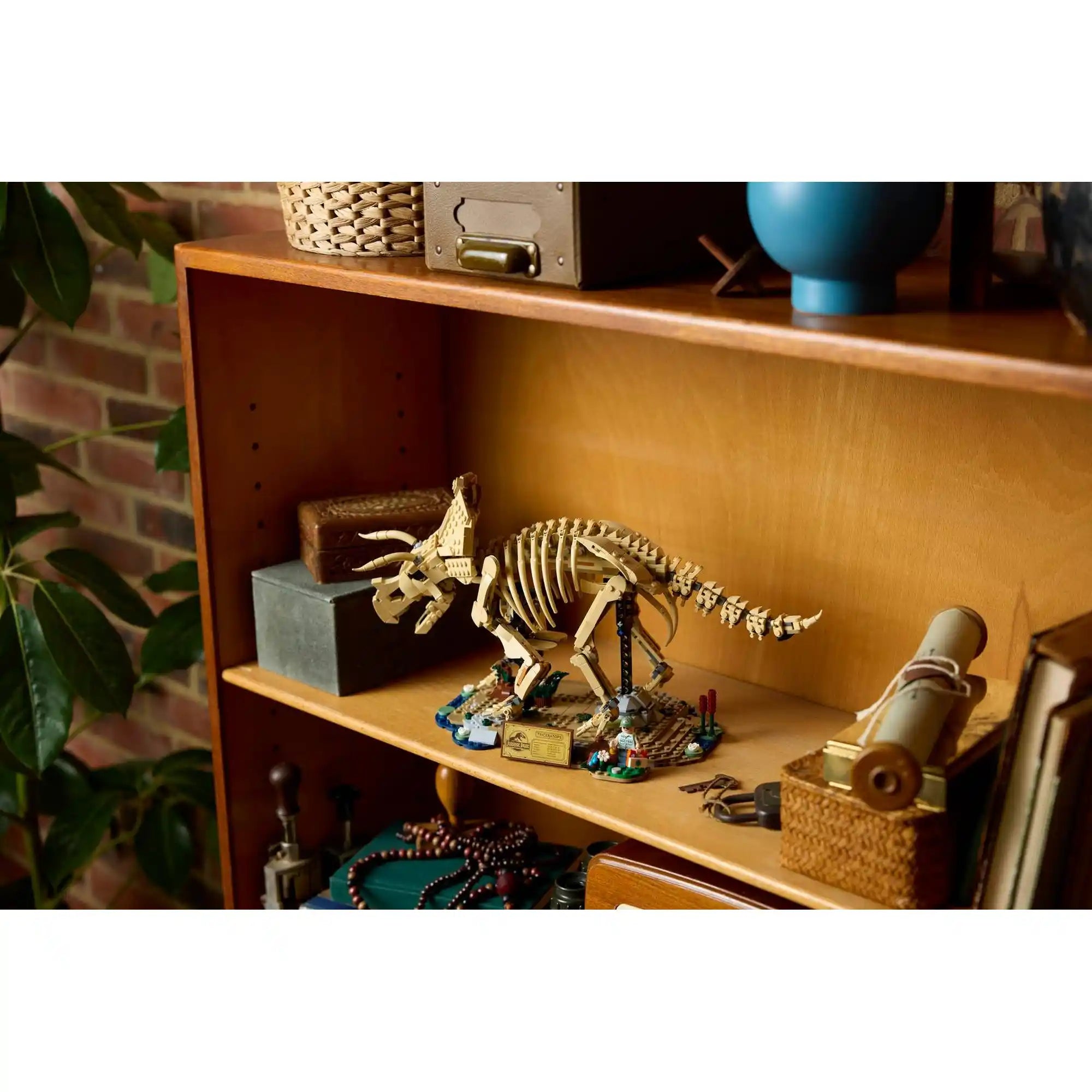 LEGO Triceratops fosszília modell dekorációként elhelyezve egy könyvespolcon, elegáns gyűjtői kiállításként otthoni környezetben.
