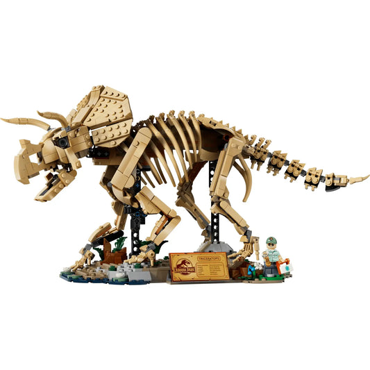 LEGO Jurassic World Dinoszaurusz maradványok: Triceratops (77985) készlet teljes modellje, részletgazdag Triceratops csontváz kiállítási talapzaton, információs táblával és Dr. Gerry Harding minifigurával.