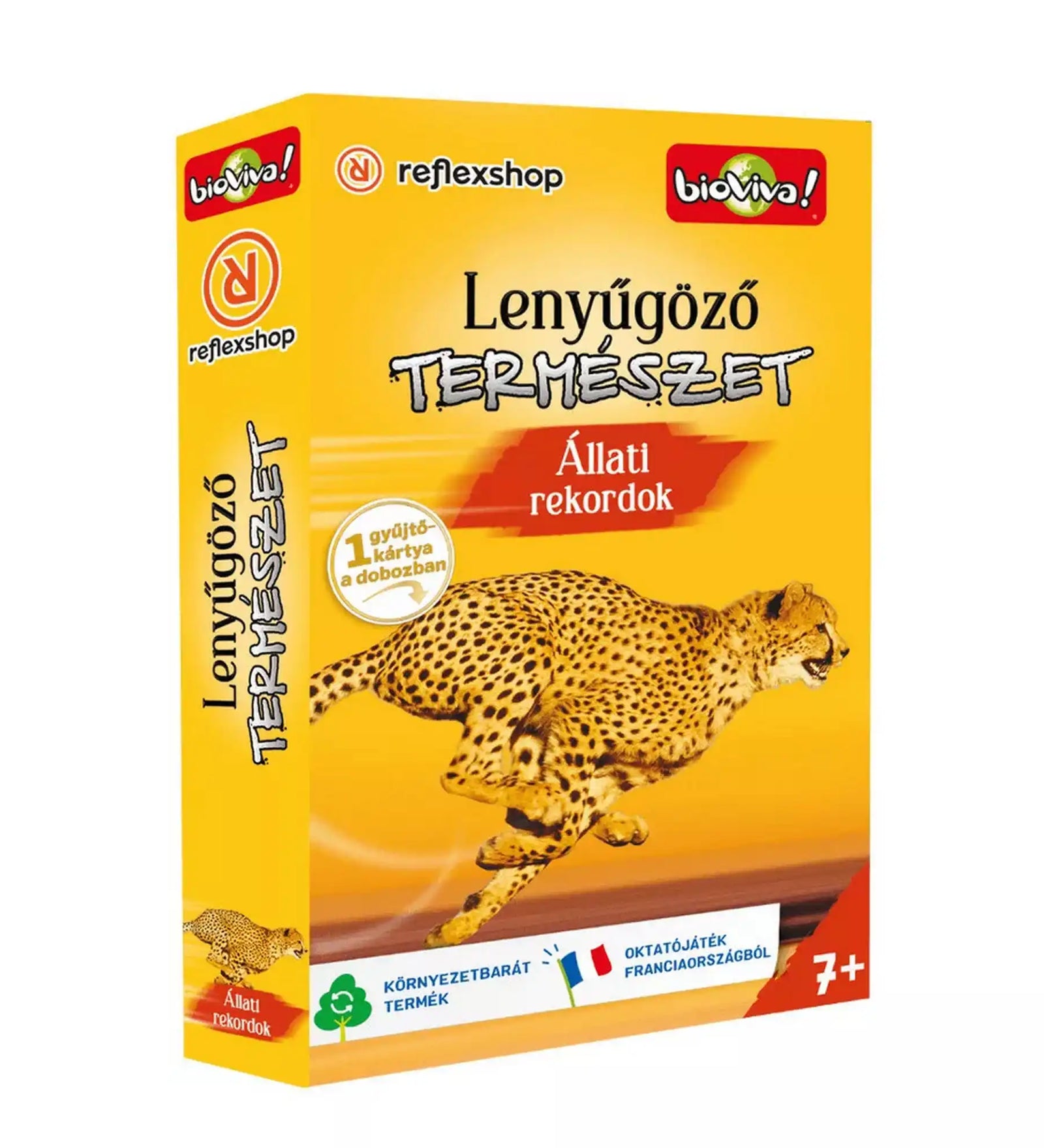 Lenyűgöző természet – Állati rekordok oktató kártyajáték doboza futó gepárd illusztrációval.