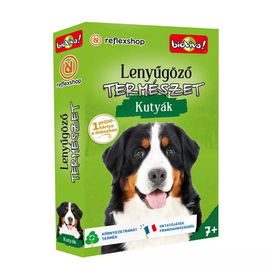Lenyűgöző természet – Kutyák oktató kártyajáték doboza bernáthegyi kutya illusztrációval.