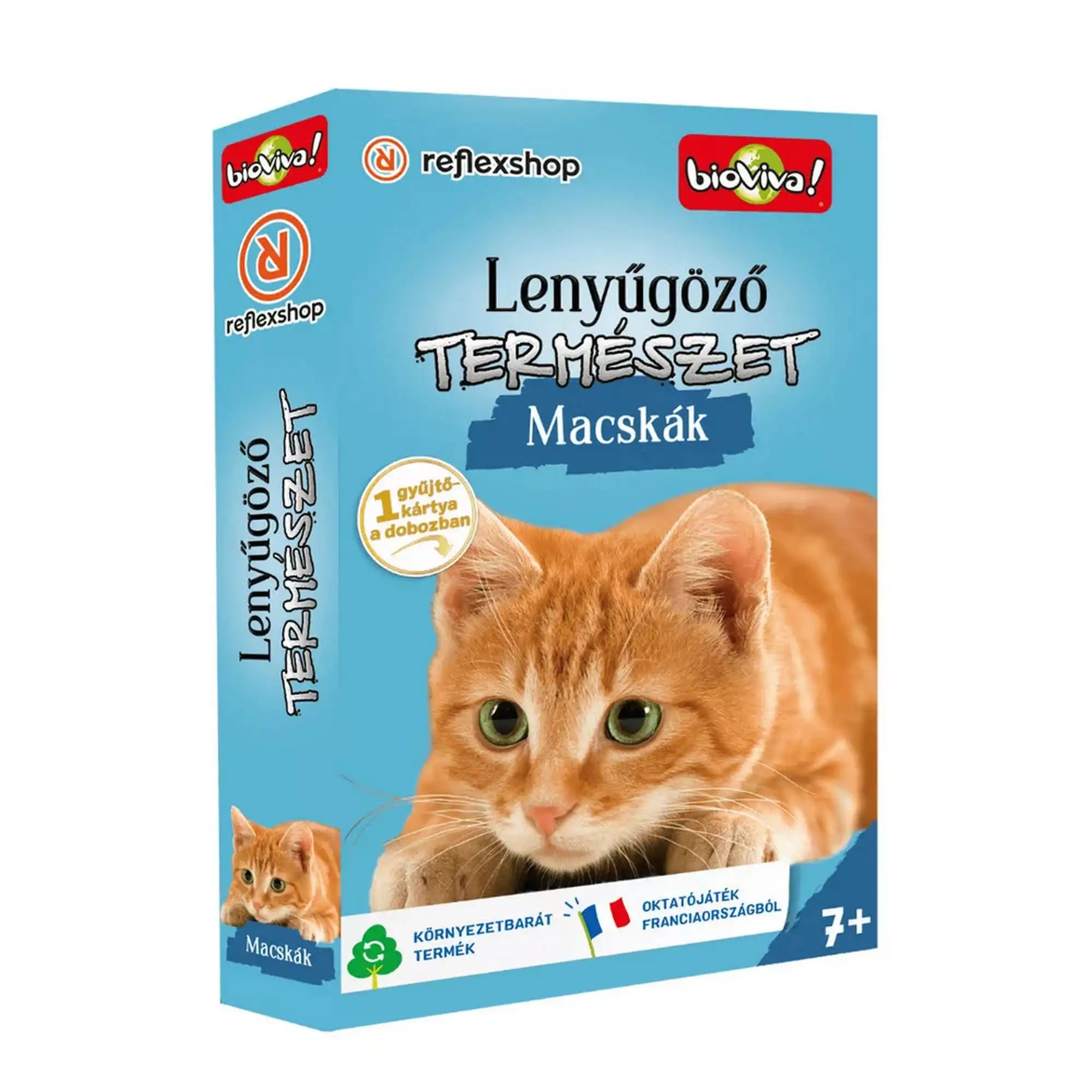 Lenyűgöző természet – Macskák oktató kártyajáték doboza vörös macska illusztrációval.