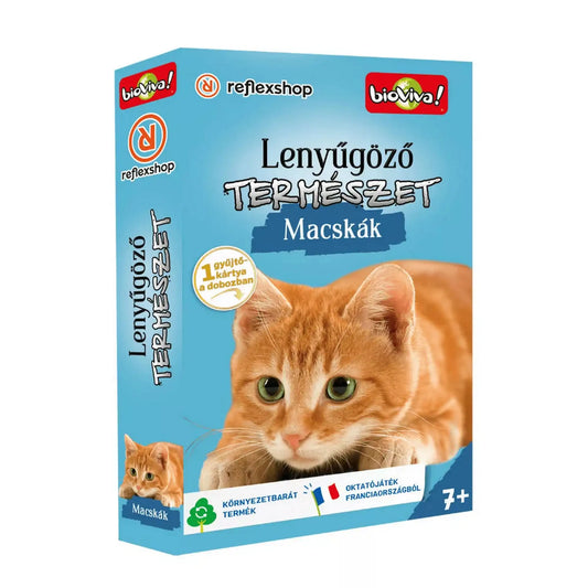 Lenyűgöző természet – Macskák oktató kártyajáték doboza vörös macska illusztrációval.