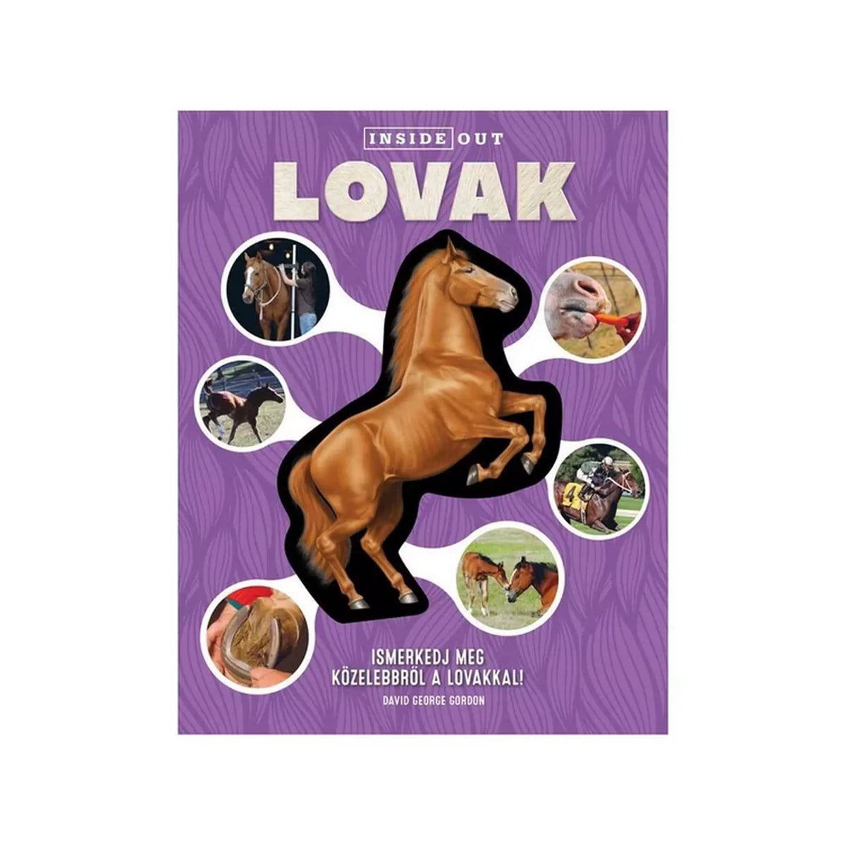 Lovak 3D modell, magyar nyelvű könyv