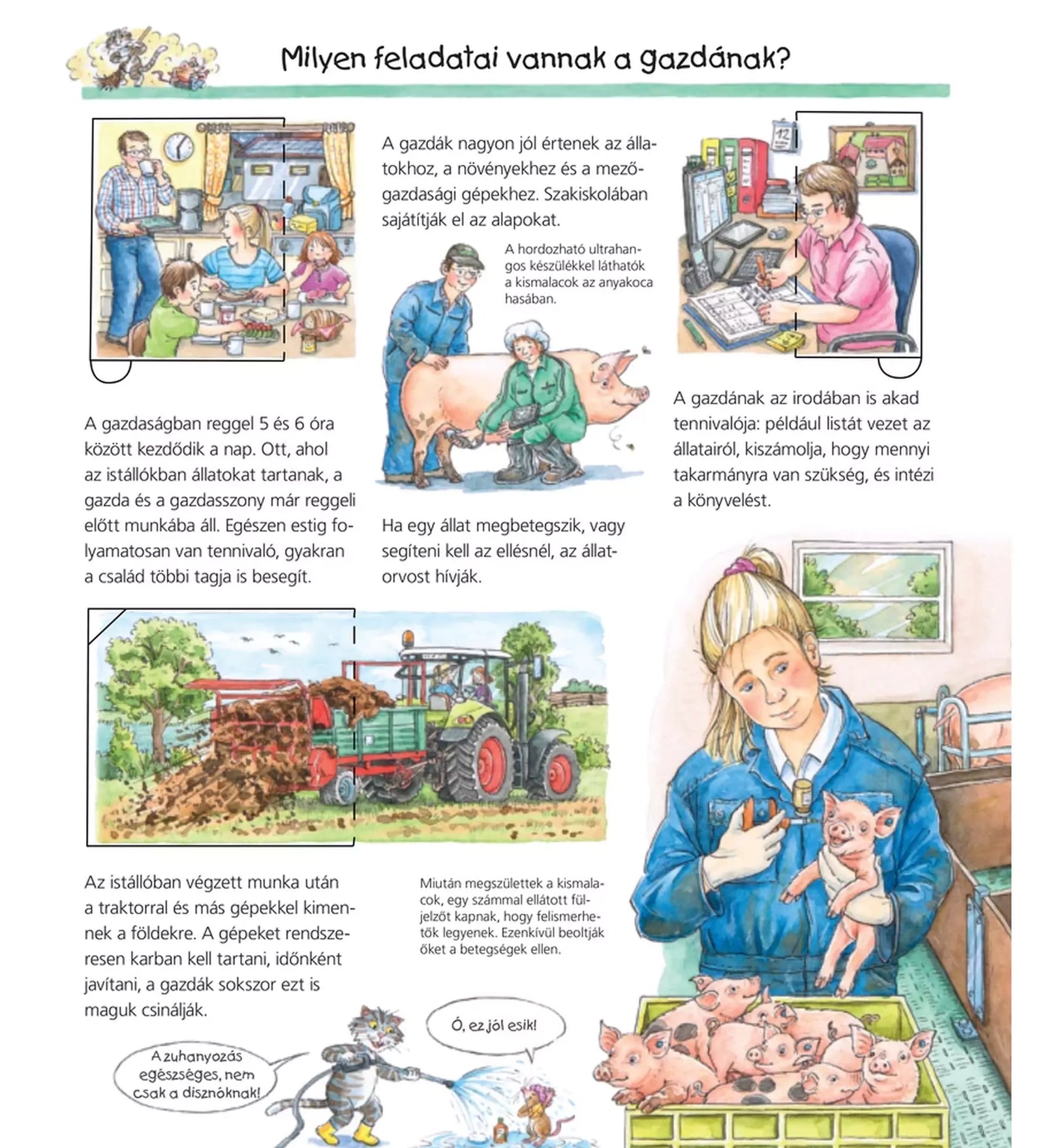 Gazdálkodás feladatai - Az állattartás és mezőgazdasági munka mindennapjait bemutató illusztrált oldal a könyvből.