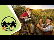 Oliva, magyar nyelvű társasjáték