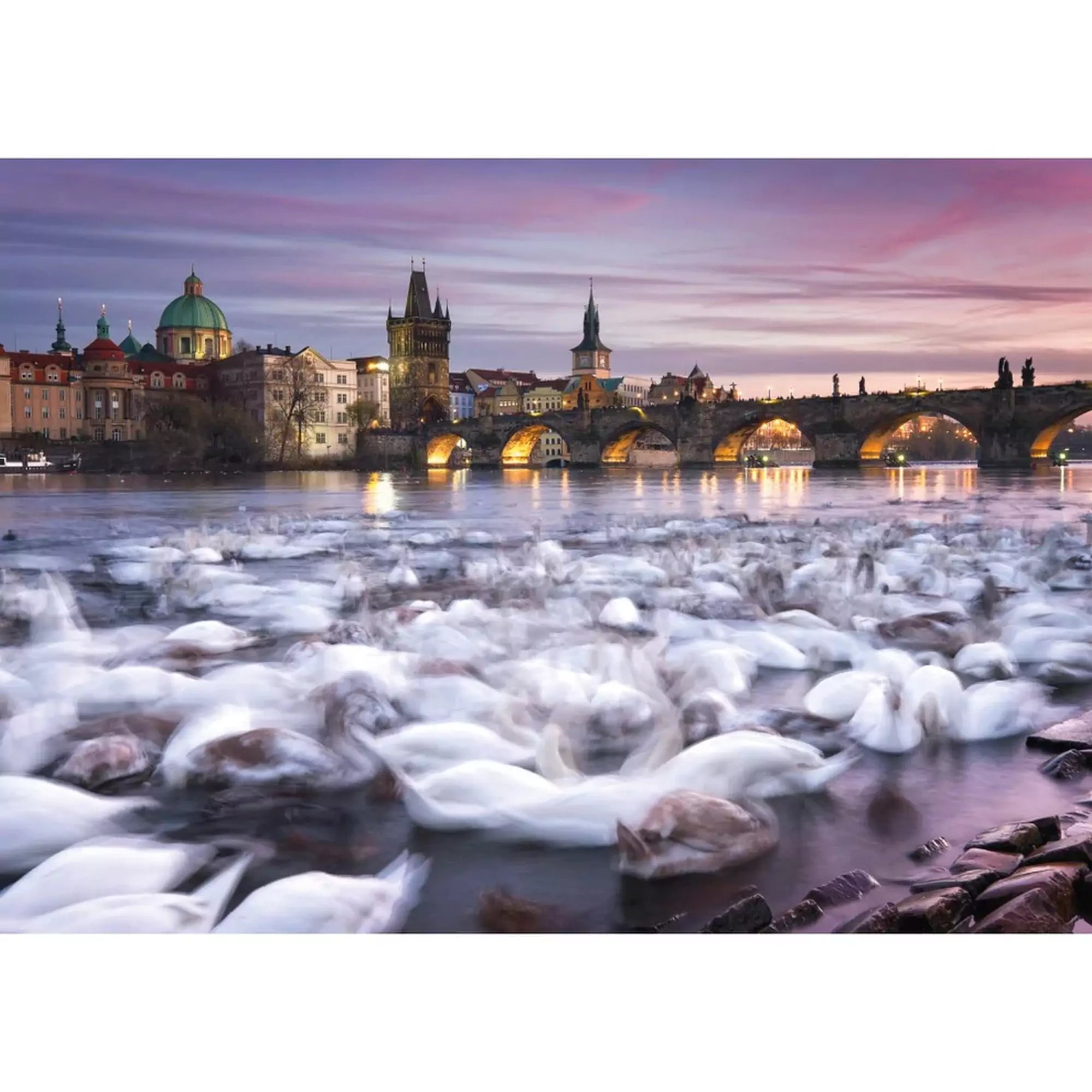 Puzzle Schmidt Christian Ringer Hattyúk Prágában kirakó teljes képe, a Vltava folyón úszó hattyúkkal és a háttérben megvilágított prágai látképpel.