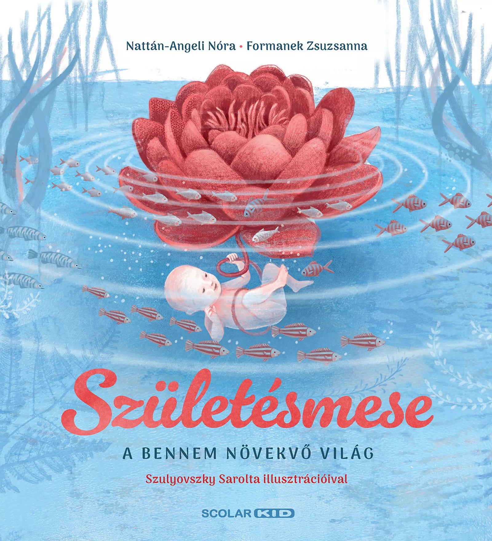 A Születésmese – A bennem növekvő világ című könyv borítója, víz alatti jelenettel, lebegő babával, köldökzsinórral és vörös virággal, Scolar Kid kiadásban
