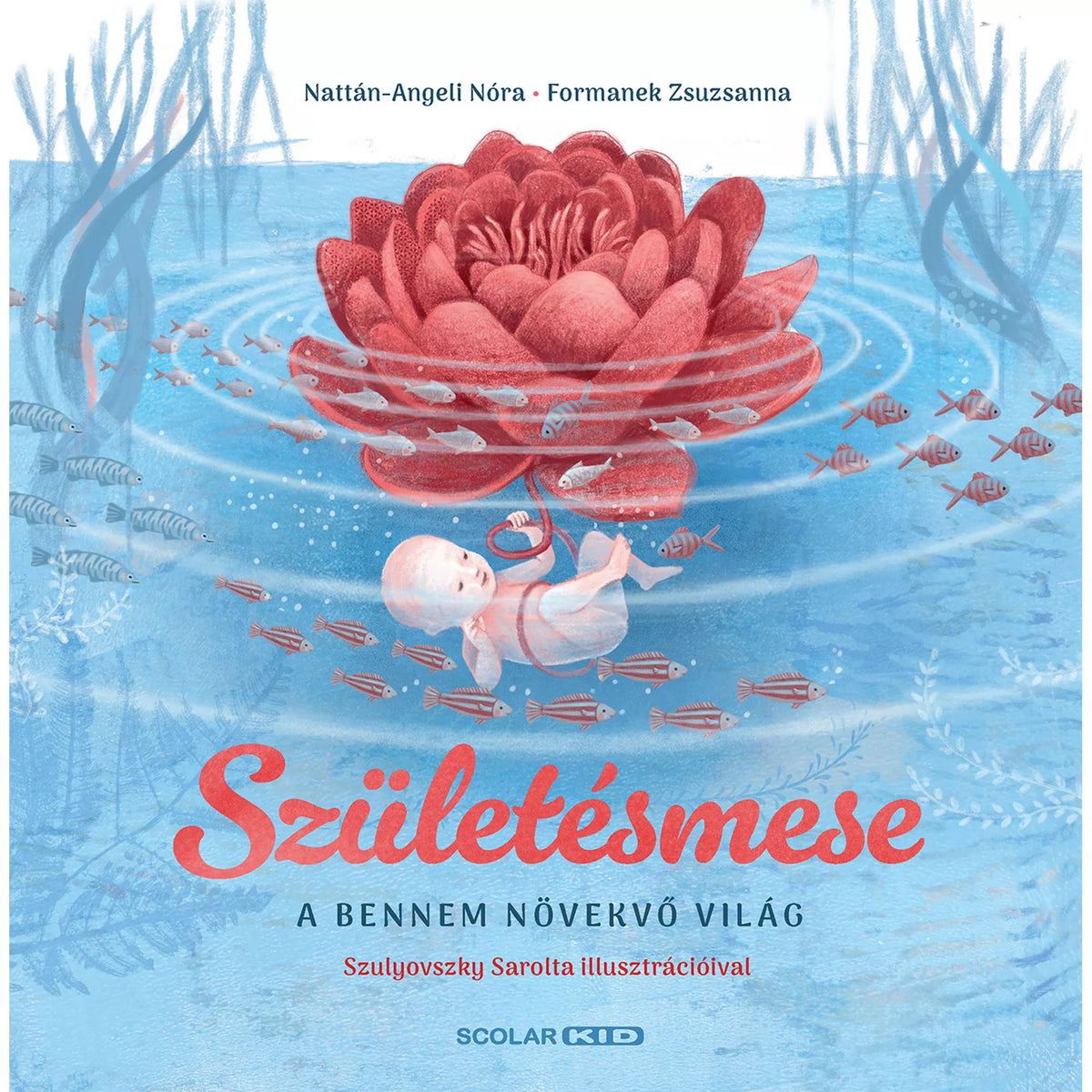 Születésmese, magyar nyelvű könyv