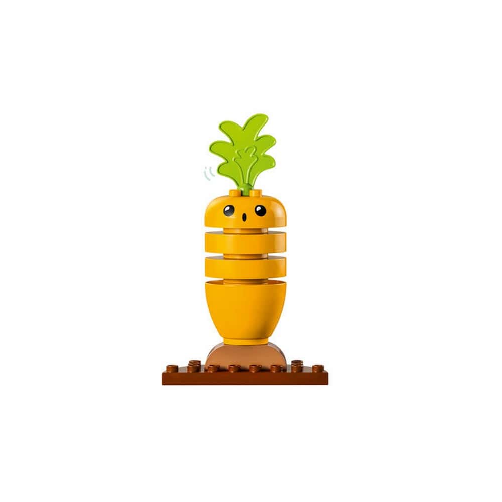 LEGO DUPLO Biokert 10984 43 darabos