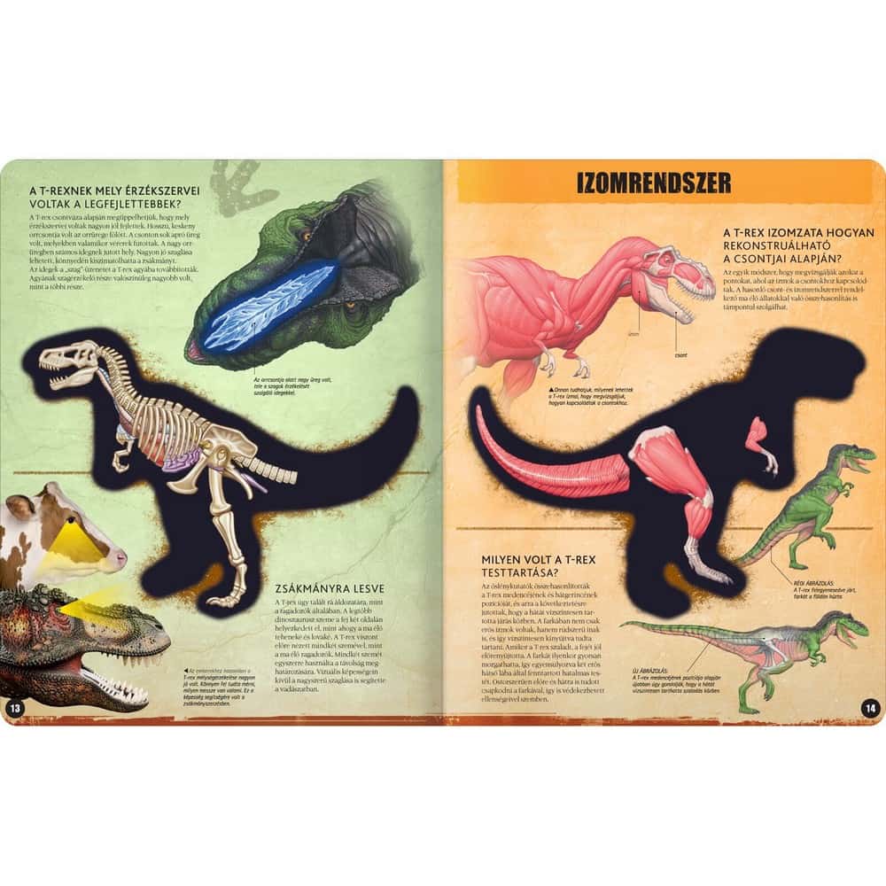 T-REX – 3D modell
