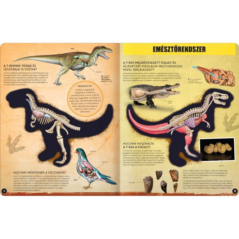 T-REX – 3D modell