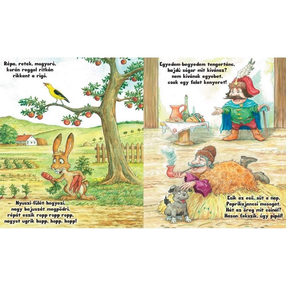 Leporelló Kotkodács!-Vagabund-2-Játszma.ro - A maradandó élmények boltja